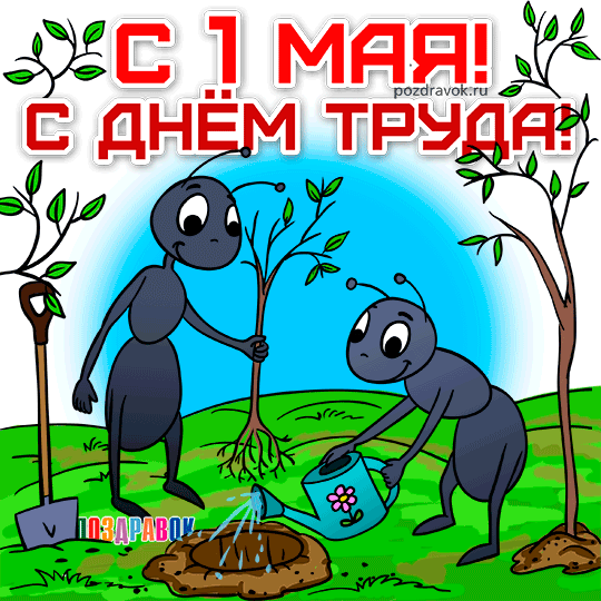 Открытка 1 мая - Муравьи сажают дерево: поздравление с 1 мая | Красивая открытка #94