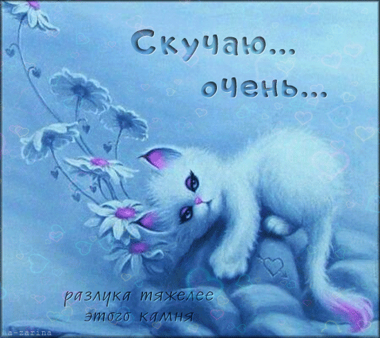 Открытка Открытки скучаю по тебе - Милая кошка с цветами: открытка с пушистым котенком | Красивая открытка #17