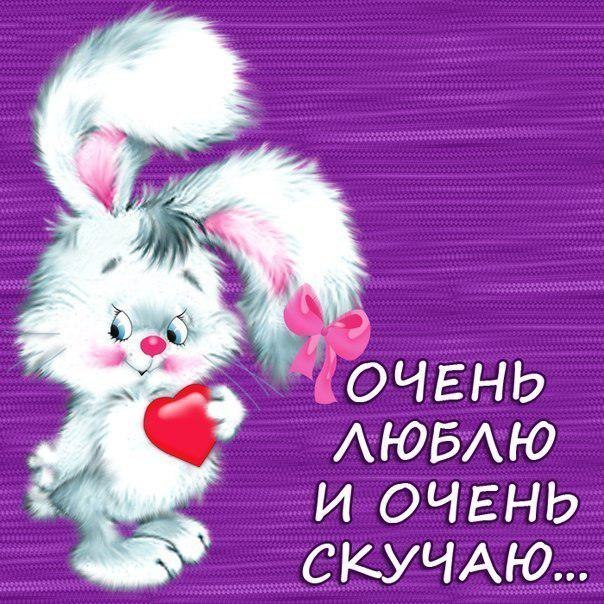 Открытка Я скучаю  - Белый зайчик с сердечком - открытка для вас | Красивая открытка #20