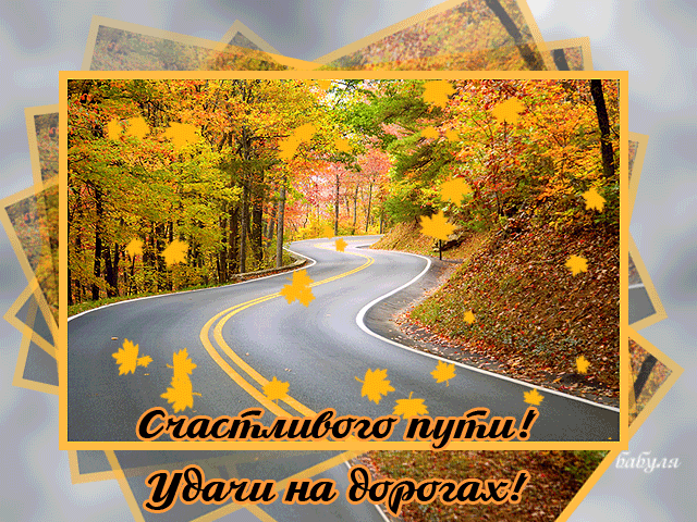 Открытка открытки с пожеланиями хорошей дороги - Осенняя дорога: открытка с желтыми листьями | Красивая открытка #22