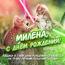 Открытка открытки с именем Милена - Два котенка с мечами  Открытка с днем рождения | Красивая открытка #24
