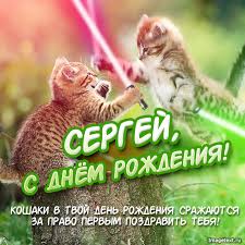 Открытка Открытки с именем Сергей - С Днём Рождения! Котики с Lightsaber - смешная открытка | Красивая открытка #24