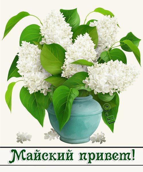 Открытка Майский - Открытка с цветущей сиренью в вазе | Красивая открытка #7