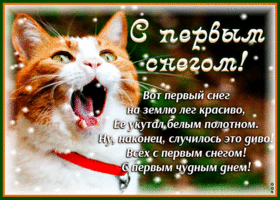Открытка С первым снегом - Открытка с рыжим котом: С Новым годом! | Красивая открытка #9