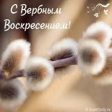 Открытка открытки с вербным воскресеньем  - Ветви ивы с пушистой кисточкой: фото для открытки | Красивая открытка #16