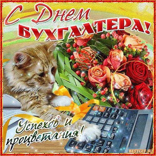 Открытка День бухгалтера - С Днём бухгалтера! Открытка с котиком и цветами | Красивая открытка #35