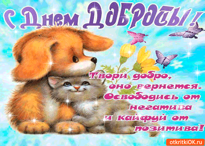 Открытка Открытки с днем доброты - Собака и котенок на лугу, открытка с цветами | Красивая открытка #23