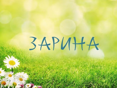 Открытка открытки с именем Зарина  - Открытка с ромашками и травой | Красивая открытка #4