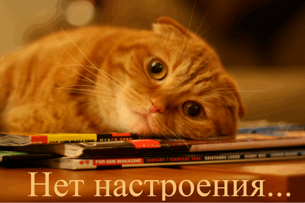 Открытка нет настроения - Кот на открытке: грустное настроение, журналы | Красивая открытка #21