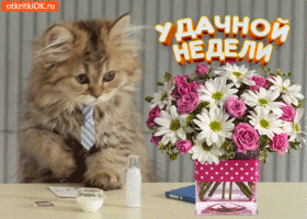 Открытка Открытки удачной недели - Котенок в галстуке с букетом цветов | Красивая открытка #225