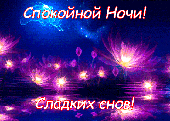 Открытка Спокойной ночи - Открытка: С днем рождения! Яркие цветы на воде. | Красивая открытка #41
