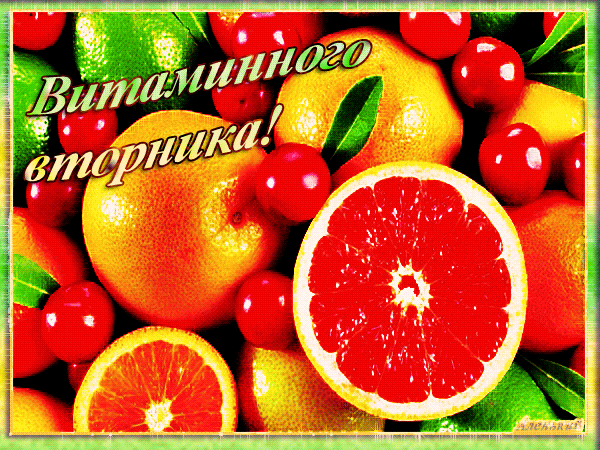 Открытка Открытки на вторник - Открытка с апельсинами, грейпфрутом и клубникой | Красивая открытка #89