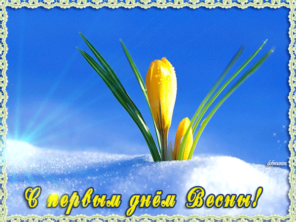 Открытка Открытки с первым днем весны - Первые подснежники на снегу: открытка с весной | Красивая открытка #73