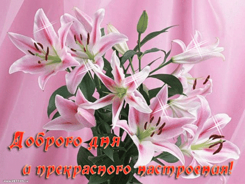 Открытка Открытки хорошего дня - Открытка с лилиями: Доброго дня и прекрасного настроения! | Красивая открытка #221