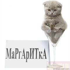 Открытка открытки с именем Маргарита  - Смешная открытка с котенком в бокале | Красивая открытка #20