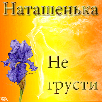 Открытка Не грусти - Ирис на открытке: поздравительная картинка | Красивая открытка #73