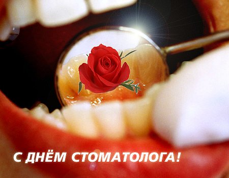 Открытка Открытки с днем стоматолога - Зубы и роза: поздравление стоматологу | Красивая открытка #106