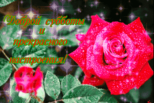 Открытка Открытки на субботу - Открытка с красными розами и блестками | Красивая открытка #141
