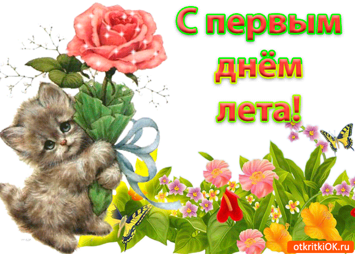 Открытка Первый день лета - Открытка с котенком и цветами | Красивая открытка #72
