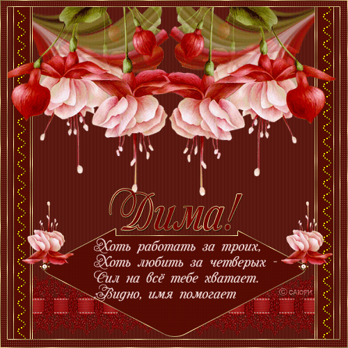 Открытка открытки с именем Дмитрий  - Открытка с цветами: Фиалки, яркие цвета, поздравительная надпись | Красивая открытка #11