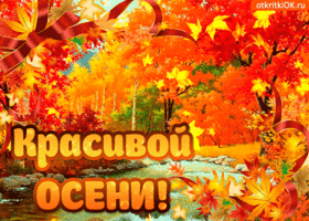Открытка Открытки осенняя пора - Открытка с осенними листьями: яркая и красивая | Красивая открытка #124
