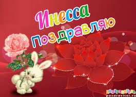 Открытка открытки с именем Инесса - Открытка с кроликом и красной розой | Красивая открытка #21