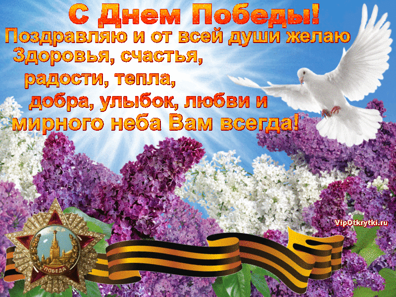 Открытка С сиренью - Праздничная открытка с цветами и голубем | Красивая открытка #79