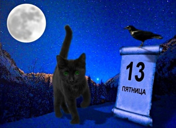 Открытка Открытки на пятницу 13 - Котенок на фоне ночного пейзажа с табличкой | Красивая открытка #184