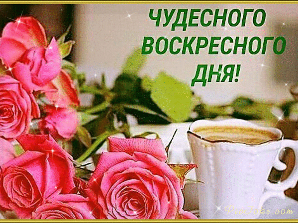 Открытка Выходные - Розовые розы и чашка кофе: нежная открытка | Красивая открытка #7