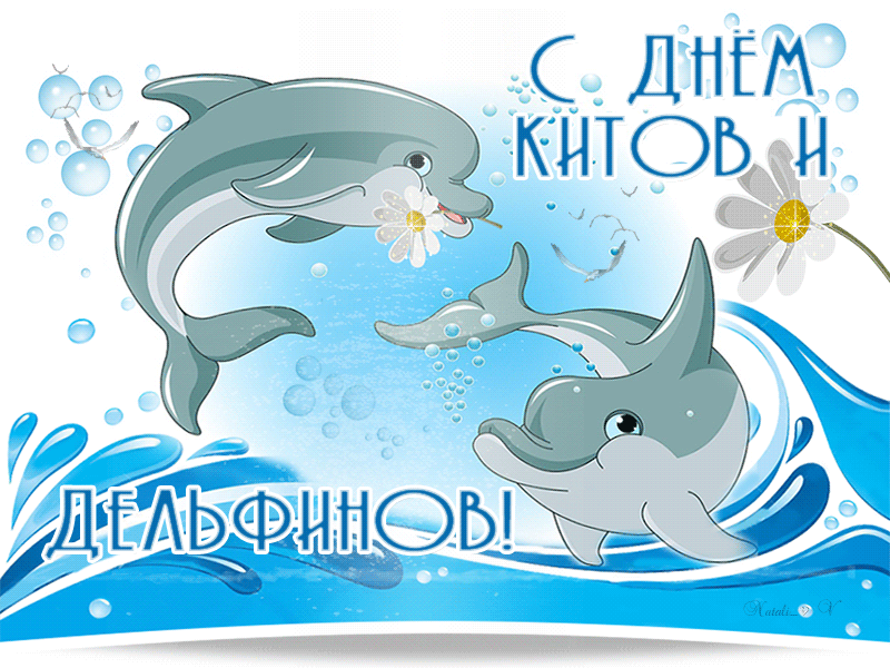 Открытка С дельфинами - Открытка с дельфинами: поздравления с праздником | Красивая открытка #22