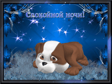 Открытка Открытки с пожеланиями на ночь - Открытка с щенком на фоне звездного неба | Красивая открытка #123