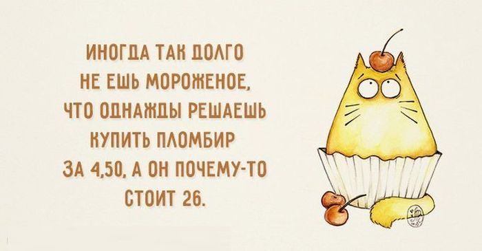 Открытка Остроумные открытки с приколами - Открытка с котиком и кексом | Красивая открытка #3