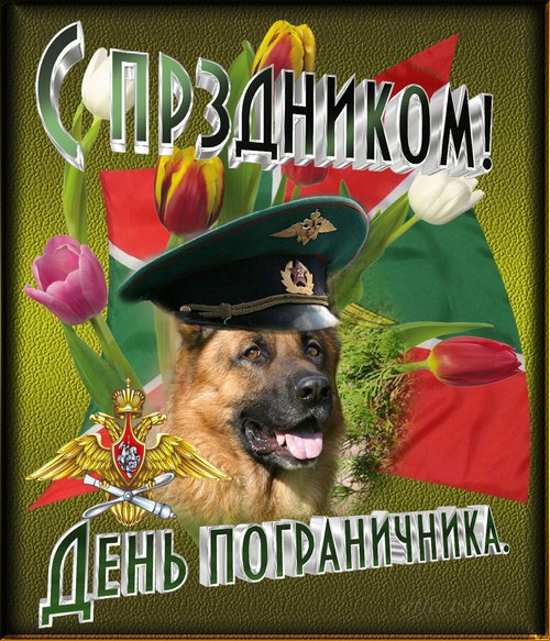 Открытка открытки на день пограничника  - Открытка ко Дню пограничника: немец, цветы, герб | Красивая открытка #6