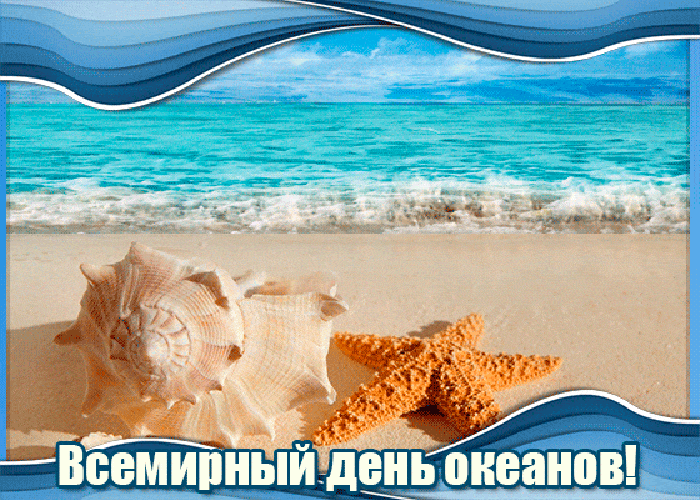 Открытка Всемирный день океанов - Ракушка и морская звезда на песке | Красивая открытка #9