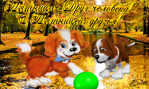 Открытка Открытки на пятницу - Две собаки играют с мячом на фоне осеннего парка | Красивая открытка #100