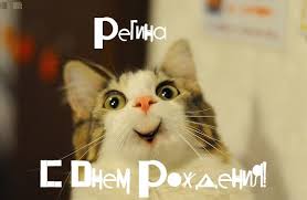 Открытка открытки с именем Регина  - Открытка с котиком на день рождения  С Днём Рождения! | Красивая открытка #30