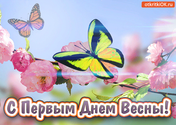 Открытка Первый день весны - Весенние открытки: Сакура и бабочки  С Днем Весны | Красивая открытка #172