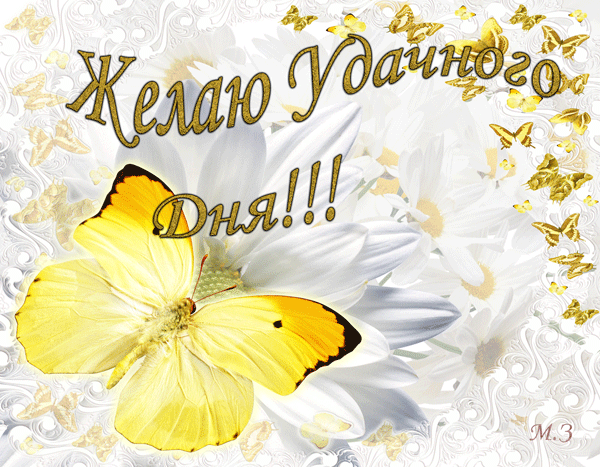 Открытка Удачи - Открытка с цветами и бабочками | Красивая открытка #203