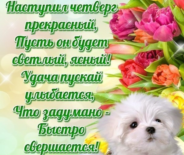 Открытка Открытки на четверг - Открытка с щенком и цветами | Красивая открытка #25