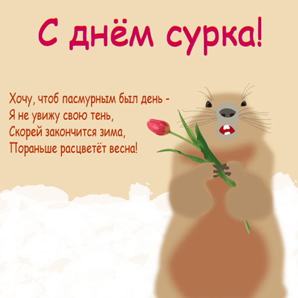 Открытка День сурка - Сурок с цветами: Весенняя открытка | Красивая открытка #7