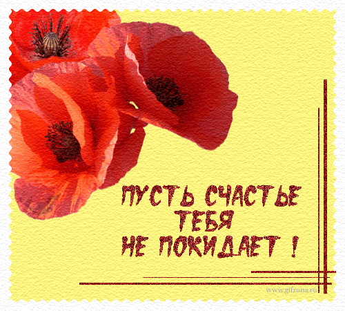 Открытка Желаю счастья - Открытка с красным маком - поздравления с праздником | Красивая открытка #40