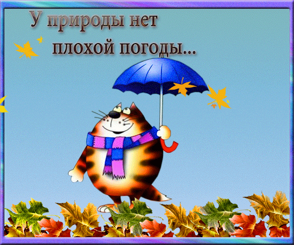 Открытка о погоде - Открытка с рыжим котом под зонтом, осенние листья | Красивая открытка #25