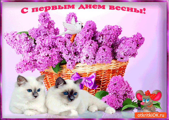 Открытка Открытки с первым днем весны - Открытка: Две кошки и сирени | Красивая открытка #41