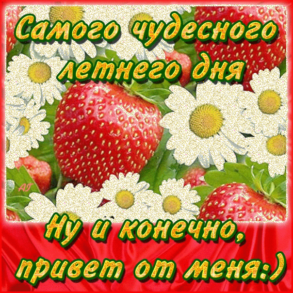 Открытка Хорошего лета - Открытка с клубникой и ромашками | Красивая открытка #40