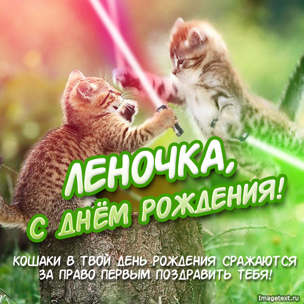 Открытка открытки с именем Елена  - Открытка с котятами: С Днем рождения! | Красивая открытка #11