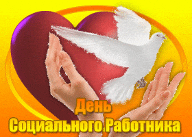 Открытка С днём социального работника - Открытка с голубем и сердцем - День социального работника | Красивая открытка #29
