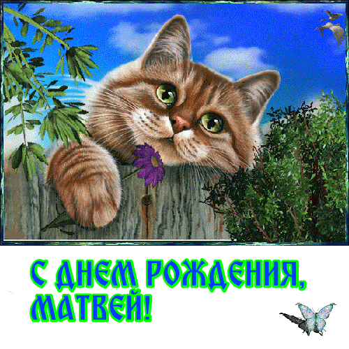Открытка открытки с именем Матвей  - Открытка с днем рождения: рыжий кот на дереве | Красивая открытка #116