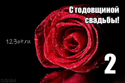 Открытка 2 года - бумажная свадьба - Красная роза на открытке: С днем свадьбы! | Красивая открытка #75