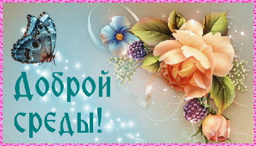 Открытка Открытки на среду - Открытка с розами, ягодами и бабочкой | Красивая открытка #149