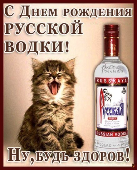 Открытка С днем рождения русская водка - Открытка с котом и водкой  поздравления с Днем рождения | Красивая открытка #4